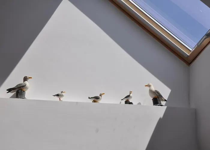 Kwatera prywatna Dom Gościnny Monika- 10 Min Do Plaży, *